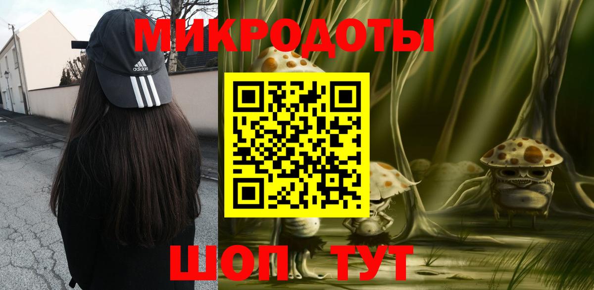 Галлюциногенные грибы Psilocybe Нижний Новгород