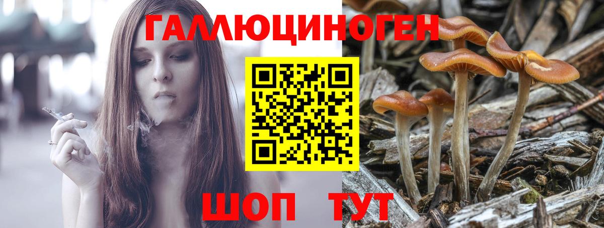 Псилоцибиновые грибы Cubensis  Вход с VPN  Псилоцибиновые грибы мицелий  Нижний Новгород 